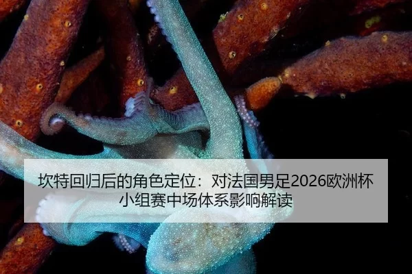 坎特回归后的角色定位：对法国男足2026欧洲杯小组赛中场体系影响解读